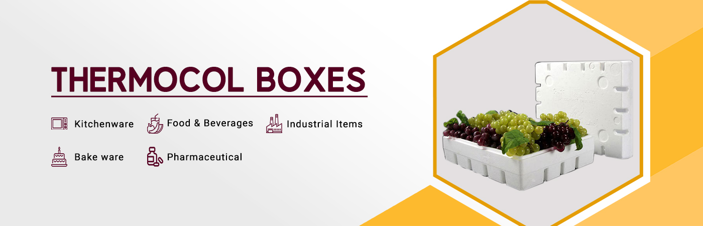 Thermocol manufacturer of Boxes For Food